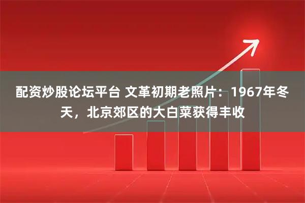 配资炒股论坛平台 文革初期老照片：1967年冬天，北京郊区的大白菜获得丰收